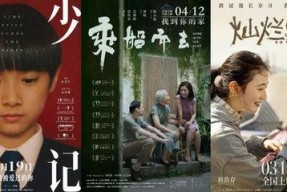 理论片国产,理论视角下的中国发展新篇章